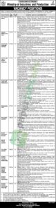 Job Vacancy - Chief Technical Advisor - Government of Pakistan - Islamabad - Ministry of Industries and Production