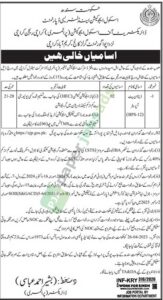 Job Vacancy - Data Input Operator - Primary Level - Sindh - School Education & Literacy department