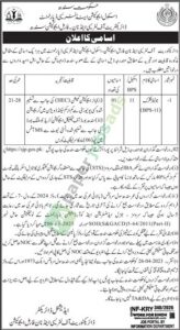 Job Vacancy - Junior Clerk - Sindh - School Education & Literacy department