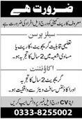 Sales Person, Accountant Job Advertisement