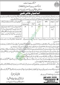 Job Vacancy - Data Input Operator - Sindh - School Education & Literacy department