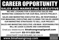 Sales and Marketing Executive