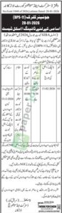 Job Vacancy - Junior Clerk - No.Esstt:/1048 of 2026,Larkana Dated:28-01-2026 - Larkana - District and Sessions Court