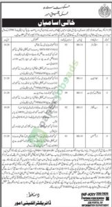 Stenographer / Accountant / Junior Clerk cum Typist / Sub-Engineer / Draftsman - Minorities Affairs Department