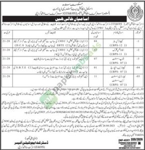 Job Vacancy - Computer Operator / Accounts Clerk / Shop Assistant / Computer Lab Incharge / Computer Lab Assistant - Karachi - School Education & Literacy Department