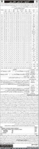 Temporary Vacancies - Balochistan - Government of Balochistan