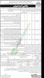 Job Vacancy - Stenographer, Computer Operator, Cataloger, Junior Clerk - Regional Director of Colleges