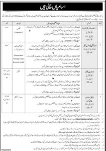 Assistant Director Law