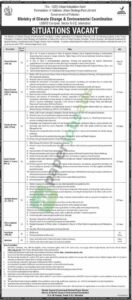 Job Vacancy - Project Director / Qasid / Deputy Director - Ministry of Climate Change & Environmental Coordination