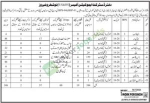 Job Vacancy for BPS-01 to BPS-04 - District Education Office