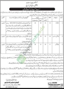 Job Vacancy - Stenographer / Accounts Assistant / Junior Clerk - Official Assignee of Karachi