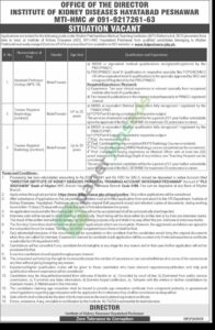 Job Vacancy - Assitant Professor / Trainee Registrar - INSTITUTE OF KIDNEY DISEASES HAYATABAD