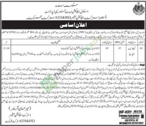 Job Vacancy - Computer Lab Incharge - School Education & Literacy department