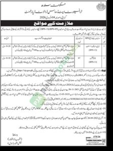 Job Vacancy for Data Processing Assistant / Junior Clerk - Transport and Mass Transit Department