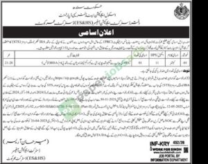 Job Vacancy - Cashier - School Education & Literacy department