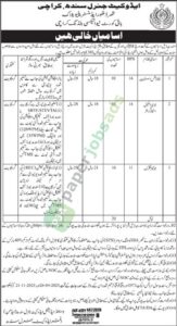 Job Vacancy - Accounts Assistant / Junior Scale Stenographer / Junior Clerk - Advocate General Sindh