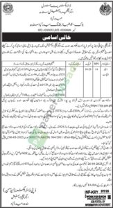 Job Vacancy - Steno Typist - Sindh - Agriculture Extension Sindh