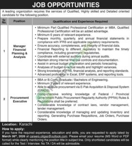 Executive / Manager - Public Sector Organization