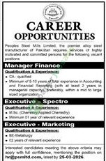 Manager Finance / Executive - Spectro / Marketing - PEOPLES STEEL MILLS LTD.