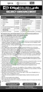 Lead Coach / Principal Software Engineer / Hardware Technician - DigiSkills