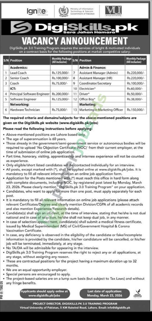 Lead Coach / Principal Software Engineer / Hardware Technician - DigiSkills