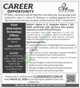 Chief Information Technology Officer - FF Steel