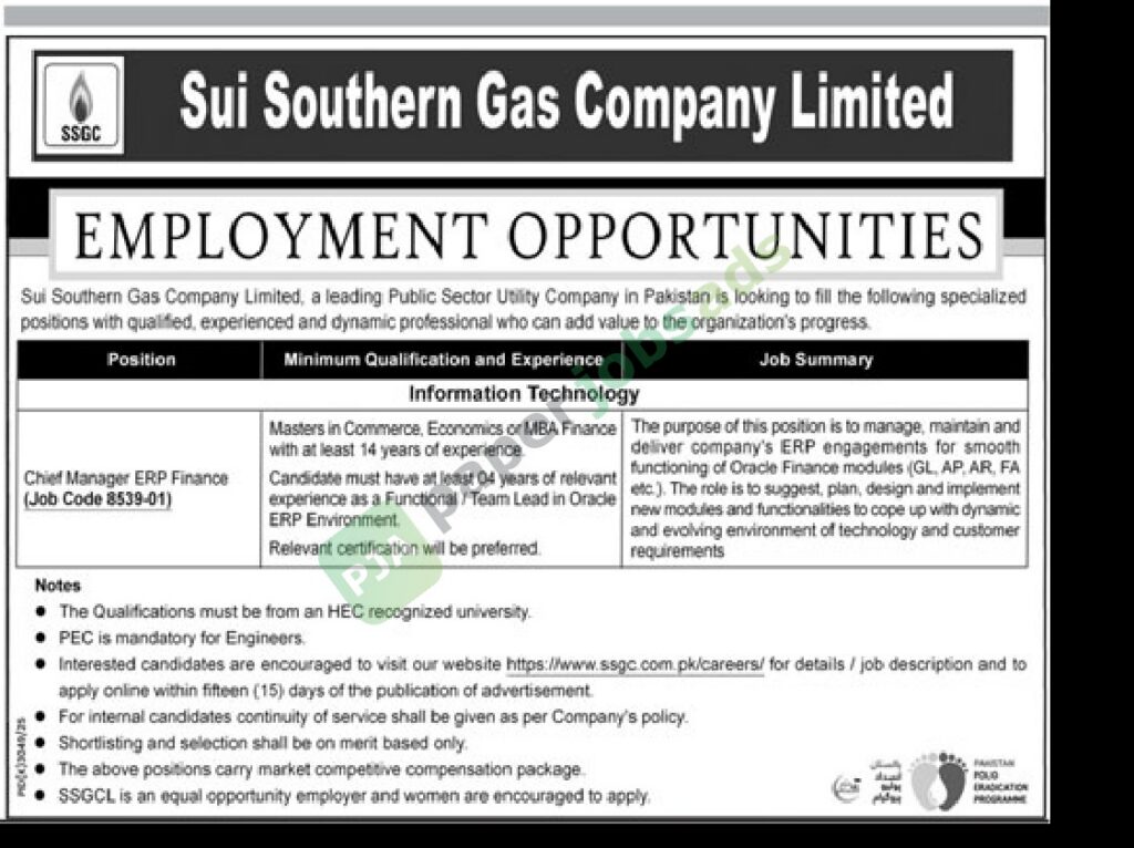 Chief Manager ERP Finance - Sui Southern Gas Company Limited