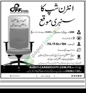 Internship - FF Steel