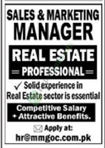 Sales & Markerting Manager - Real Estate Sector