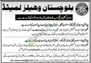 Junior Executive / Assistant Manager - Design & Development Department - Baluchistan Wheels Limited (BWHL)